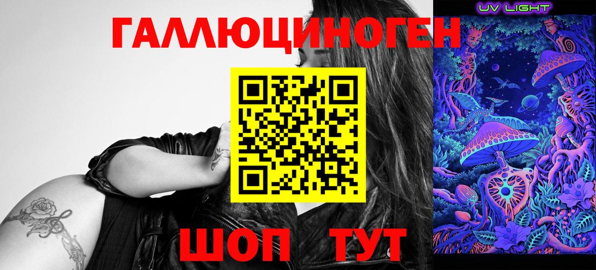 Галлюциногенные грибы Psilocybe Урай