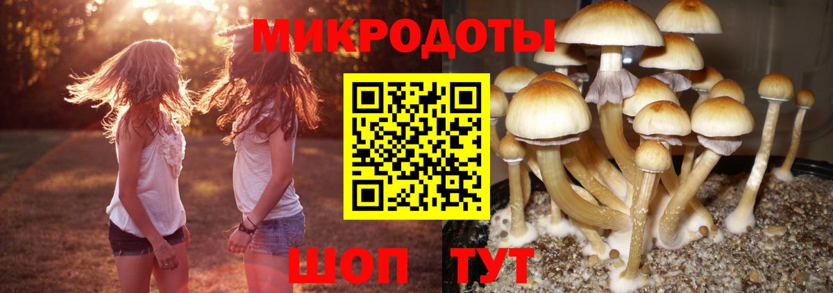 Урай  Галлюциногенные грибы Cubensis  Галлюциногенные грибы мухоморы  Вход с VPN 